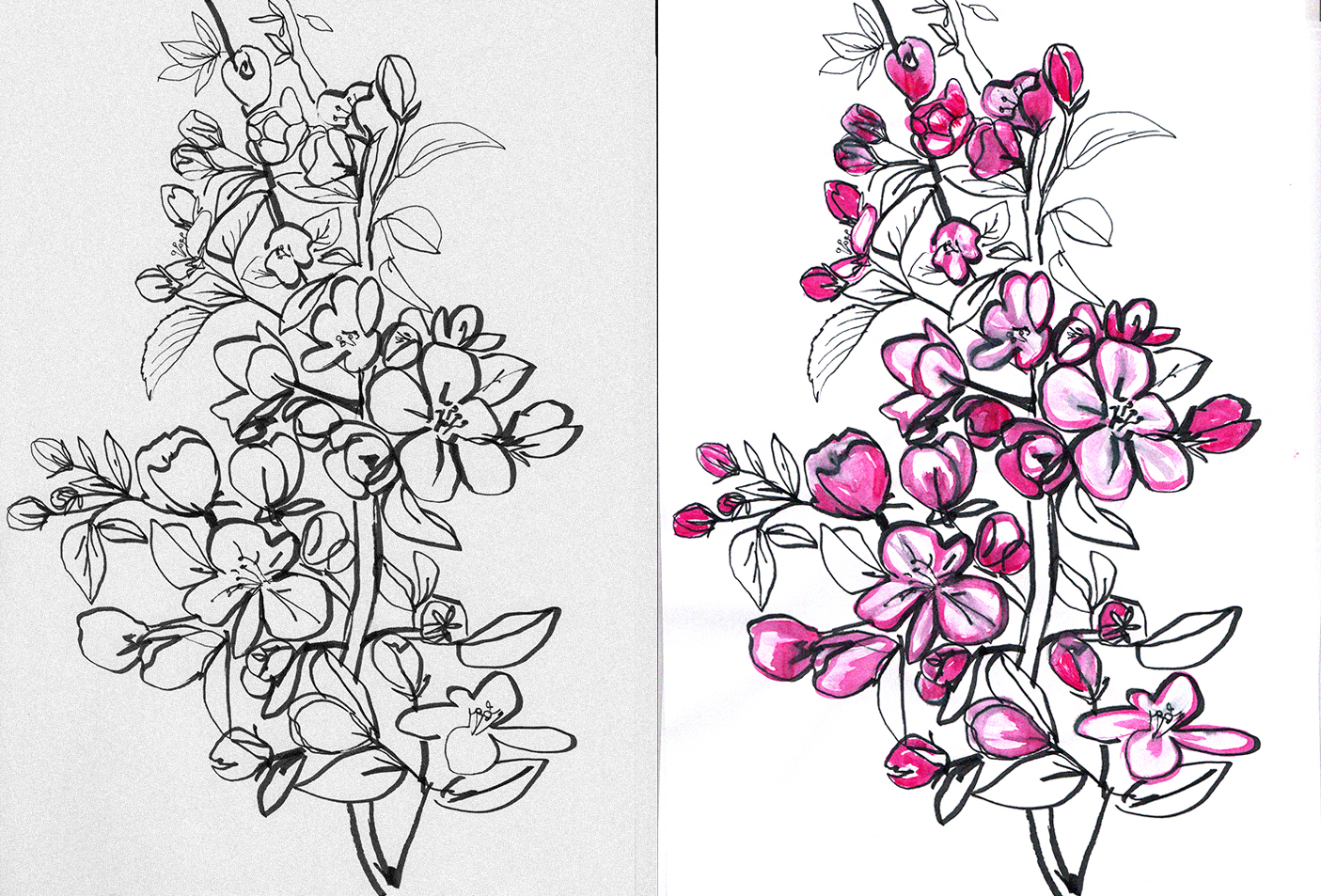 szkice kwiatów do wzoru